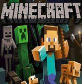 Minecarft Premium